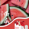 西瓜Watermelon.jpg SP2S煙彈一代通用 / 3顆入 / 不用我說的銷冠
